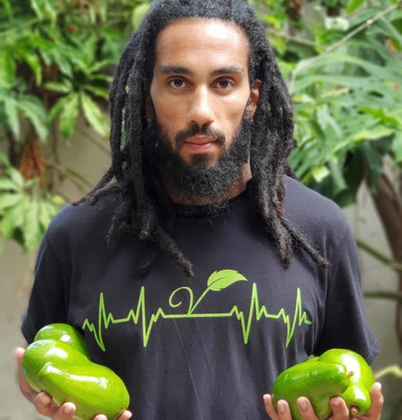 photo-fernando-cardenas-besesaka